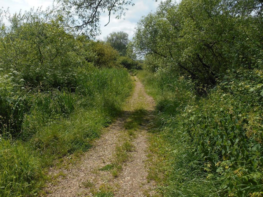 Shirley Apartments, Cozy Studio, Self Check In, 10 Min Drive To City Centre, Walking To Redbridge Train Station Саутгемптон Экстерьер фото